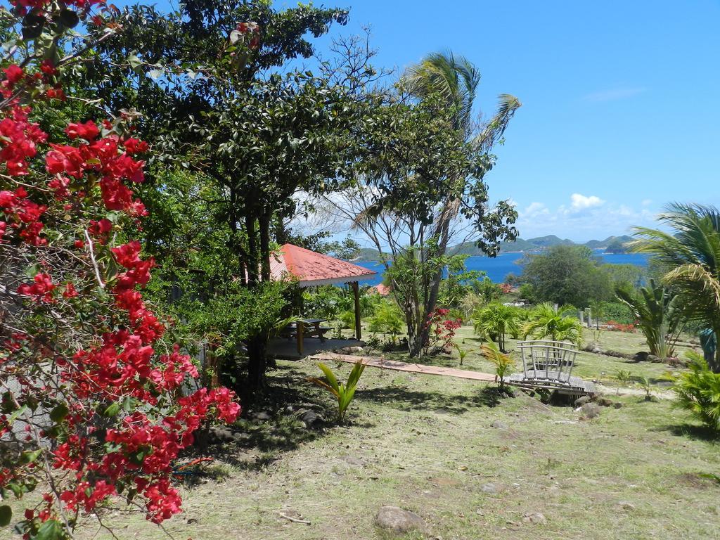 Ferienwohnung Coco D'Iles Terre-de-Bas Exterior foto